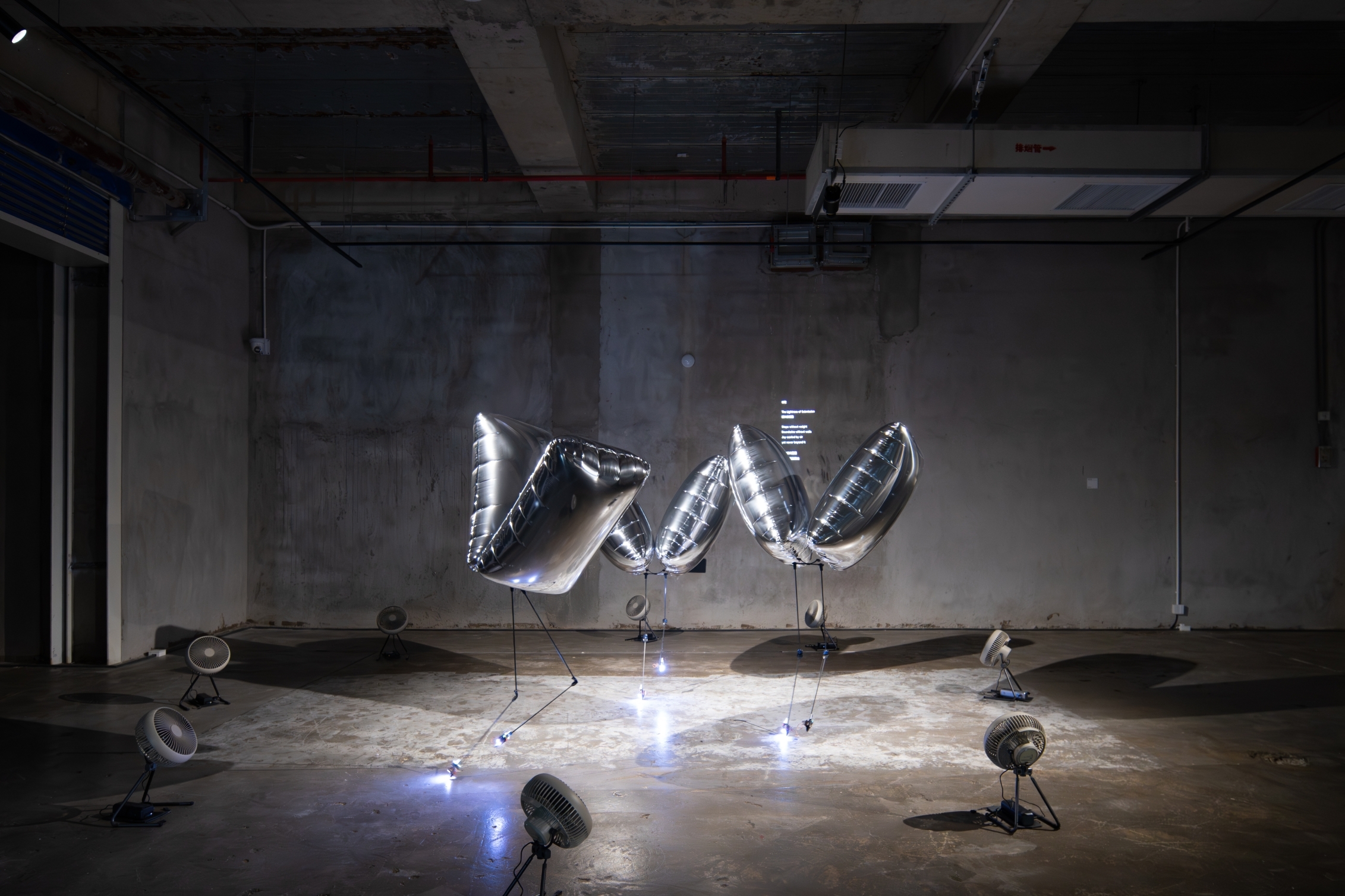 BALLU arts project
